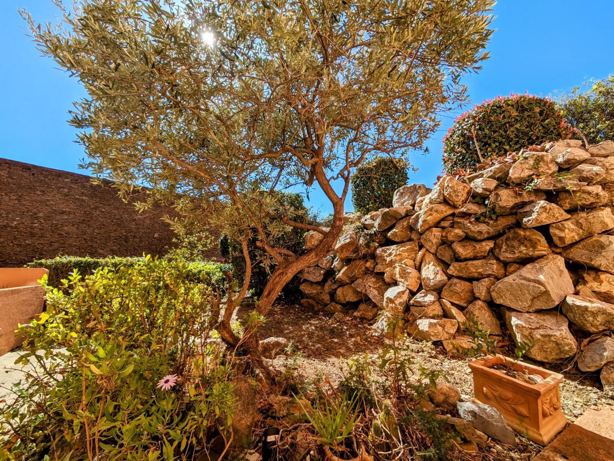 Appartement Central Avec Parking, Terrasse Et Wifi Collioure Luaran gambar